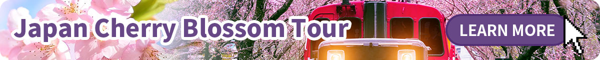Japan Cherry Blossom Tour